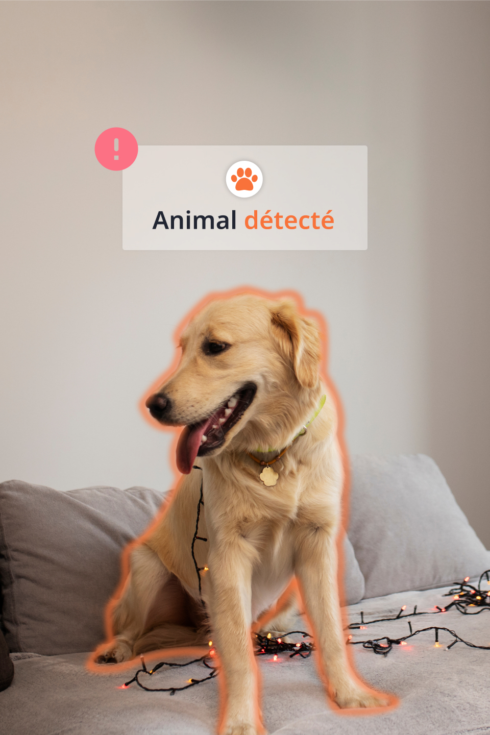 Detection intelligente kiwatch